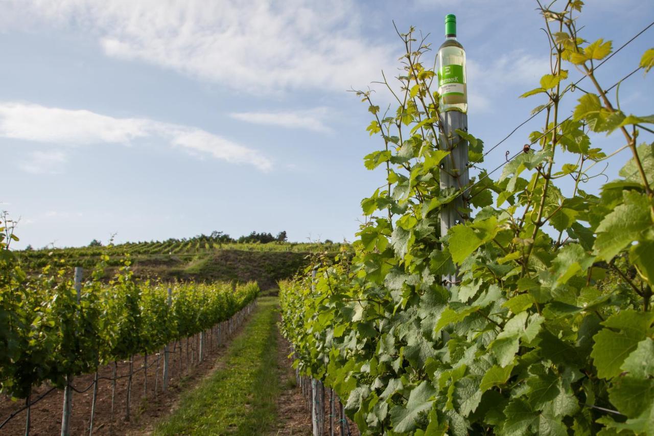 Ferienwohnung Am Weingut Eisenbock Strass  Luaran gambar