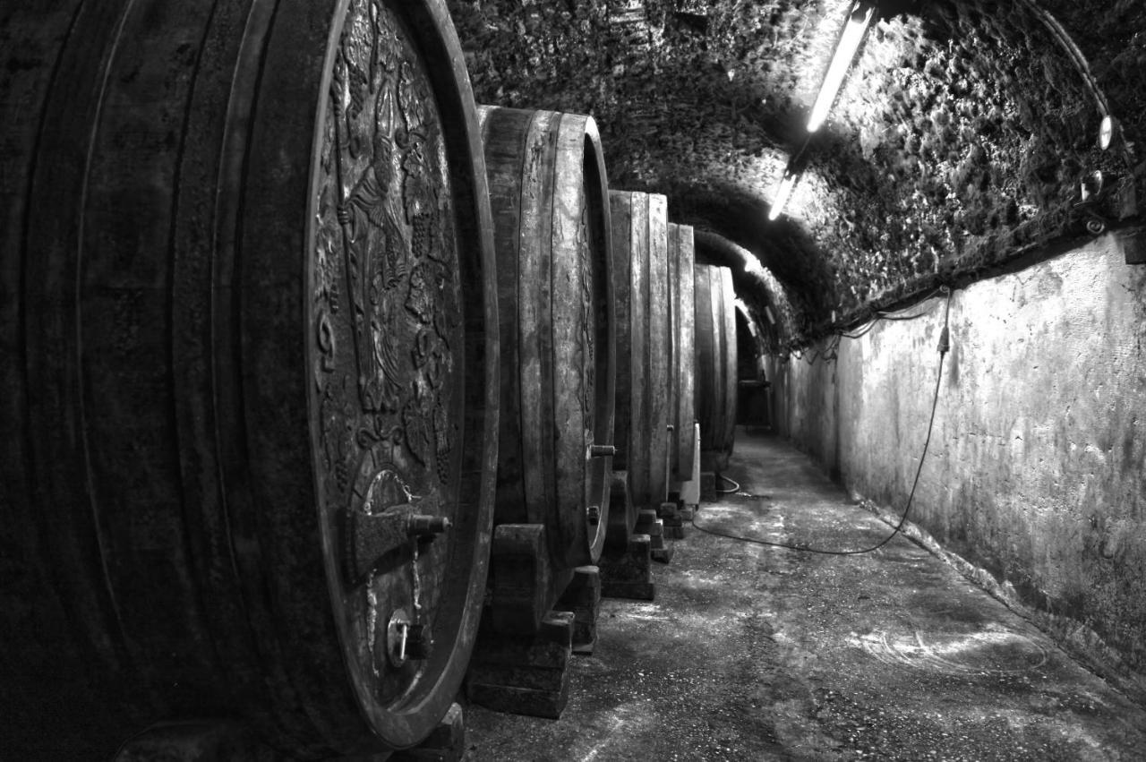 Ferienwohnung Am Weingut Eisenbock Strass  Luaran gambar